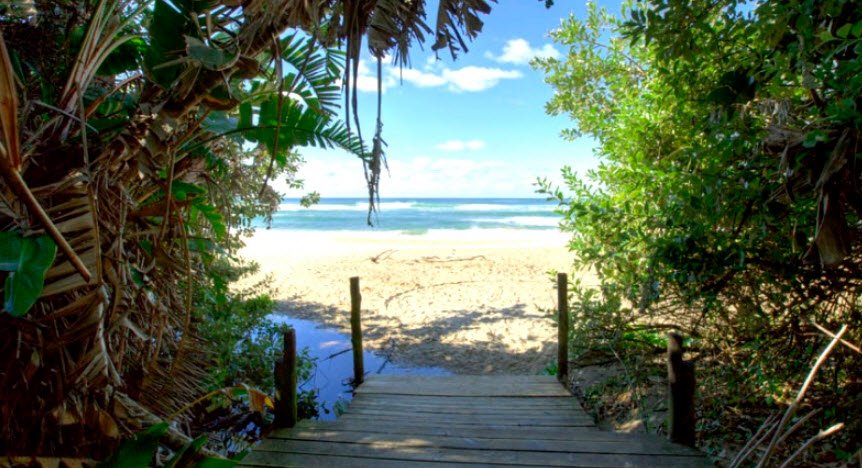 Palm Beach , , South Africa